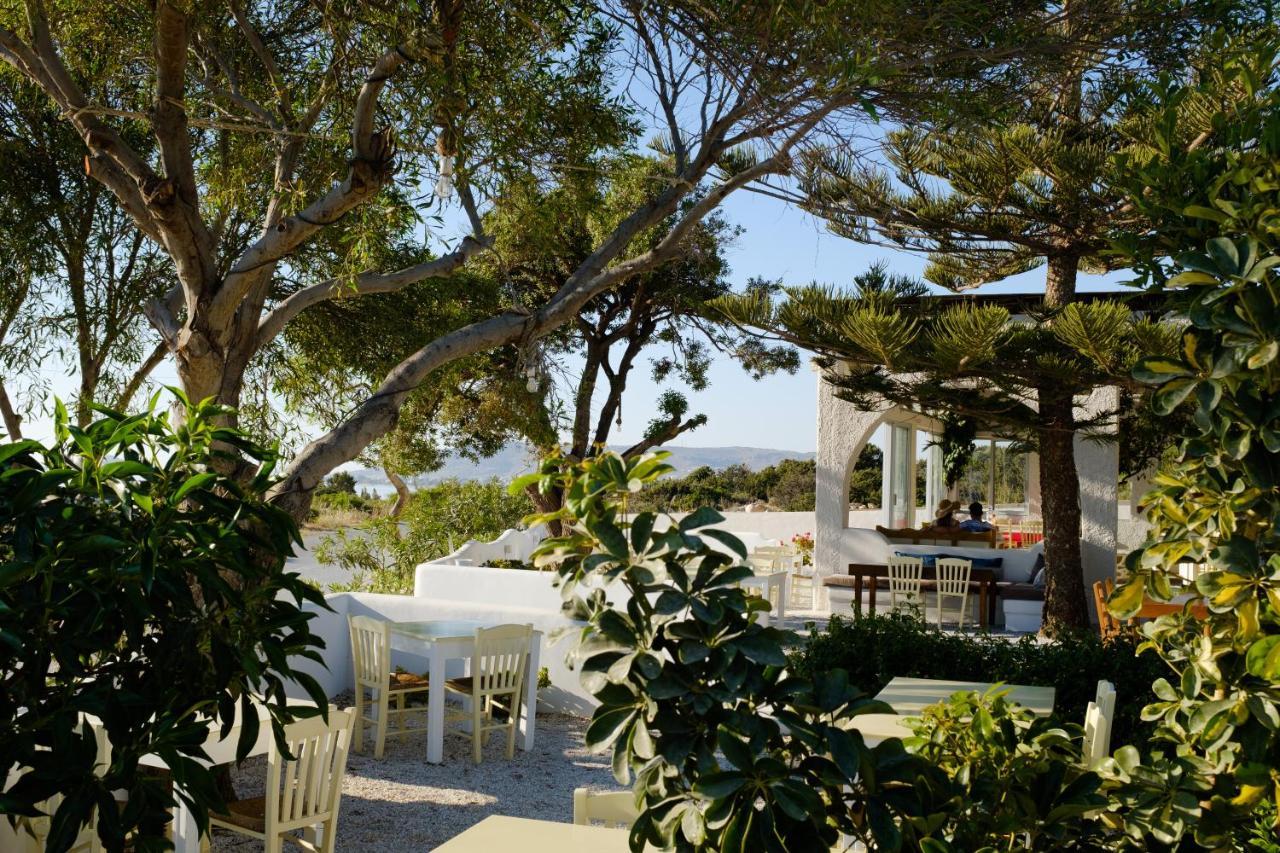 Villa Faros Small Hotel & Restaurant Aliko Beach Exteriér fotografie