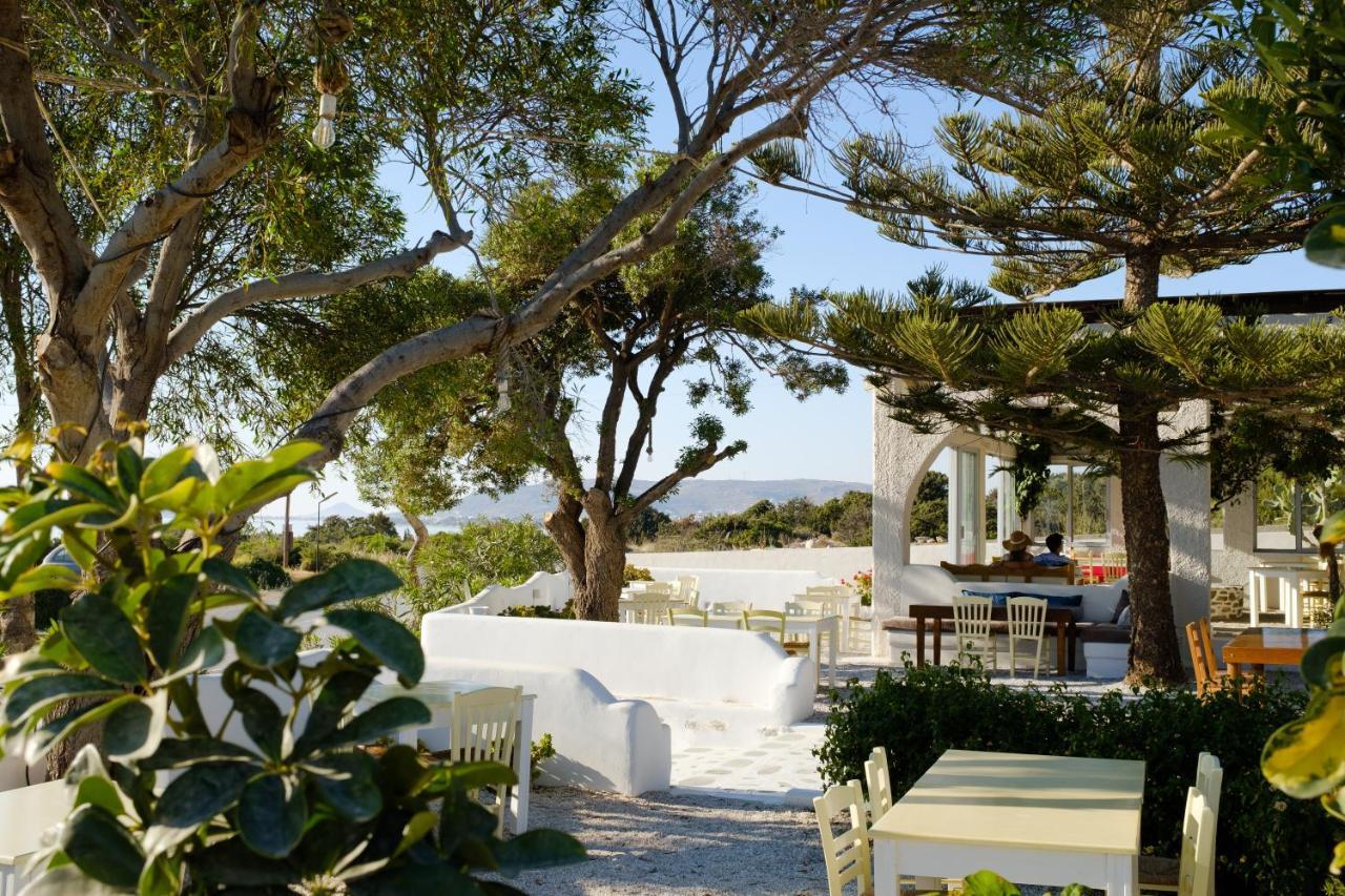 Villa Faros Small Hotel & Restaurant Aliko Beach Exteriér fotografie